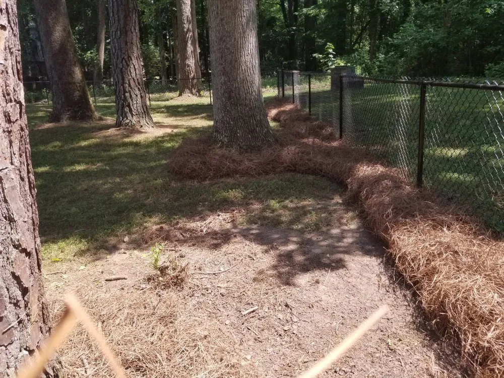 Expert landscape design near you in Acworth, GA by Tropical Creations