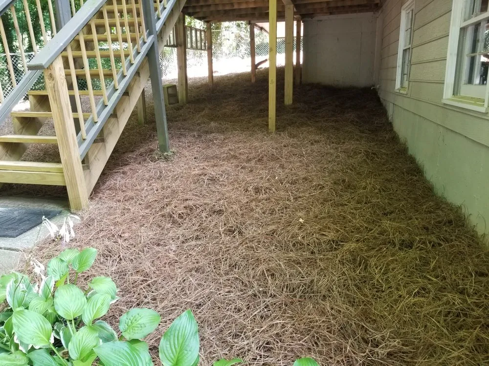 Expert yard maintenance in Acworth, GA by Tropical Creations