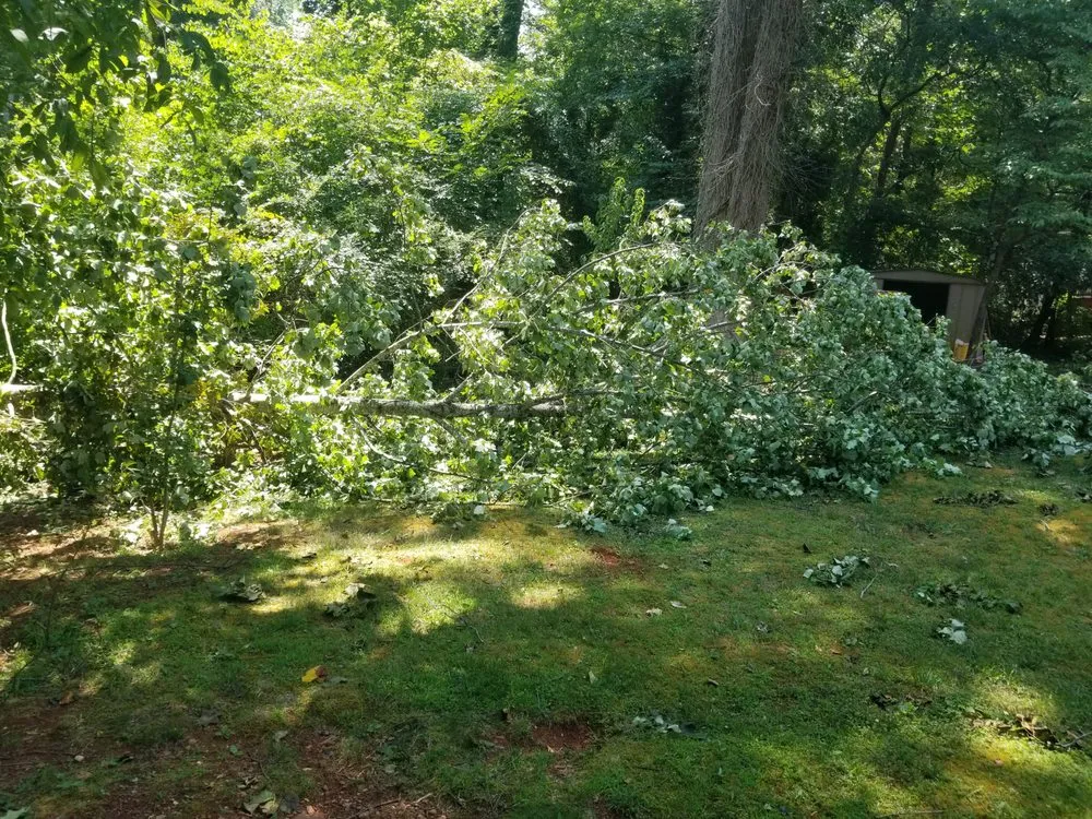 Reliable yard maintenance experts serving Acworth, GA - Tropical Creations