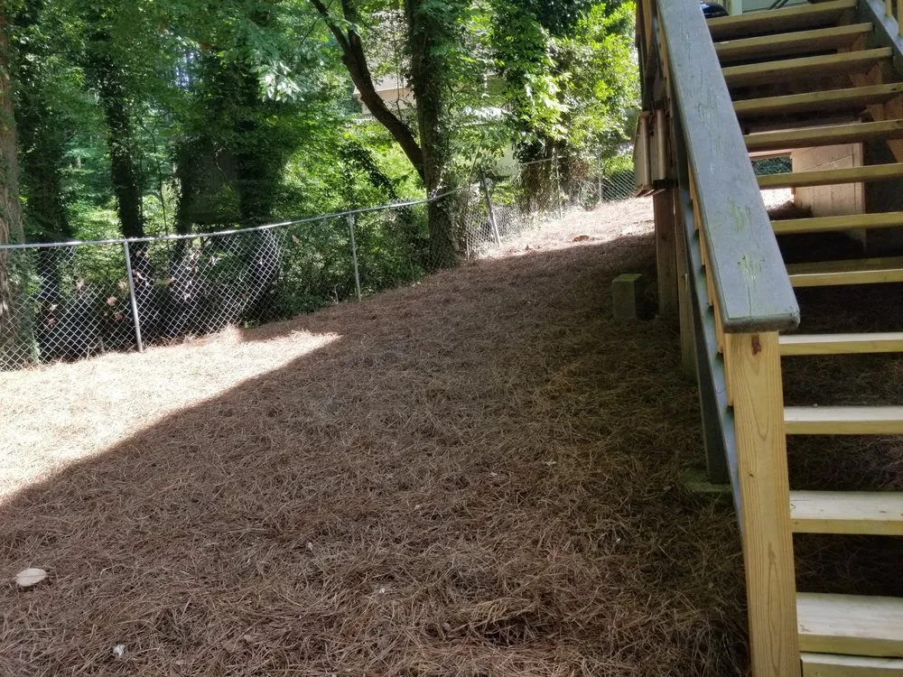 Expert garden landscaping for year-round maintenance in Acworth, GA by Tropical Creations