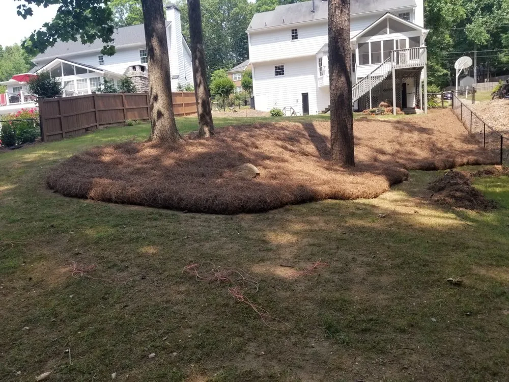 Affordable yard cleanup service in Acworth, GA by Tropical Creations