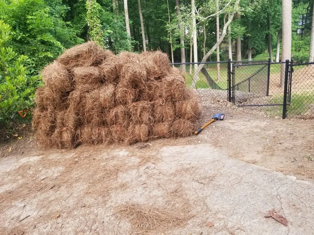 Local yard maintenance experts serving Acworth, GA - Tropical Creations