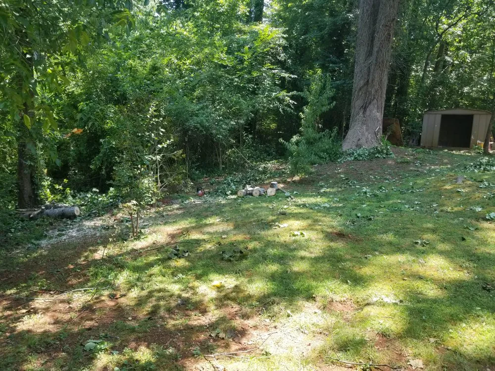 Top-rated yard maintenance experts serving Acworth, GA - Tropical Creations