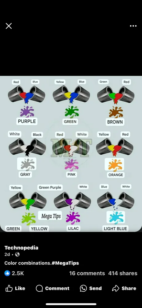 Trusted yard maintenance for year-round maintenance in Delray Beach, FL by Tropical cut