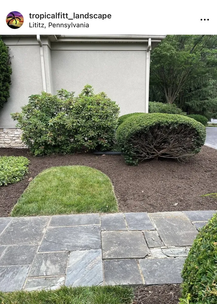 Reliable outdoor landscaping in Lancaster, PA - Tropical Fitt