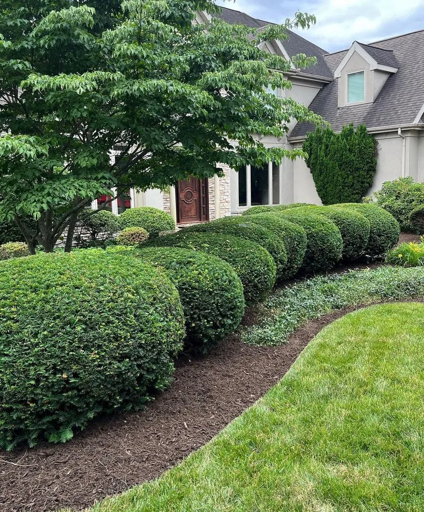 Professional lawn mowing service in Lancaster, PA - Tropical Fitt