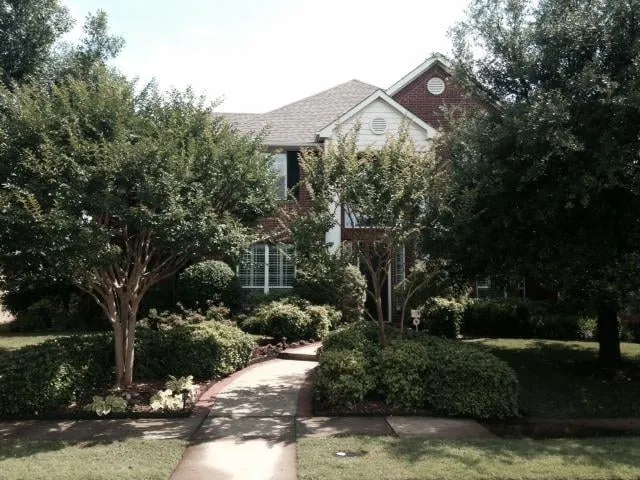 Local landscape design experts serving Lubbock, TX - Tropical Garden and Palms