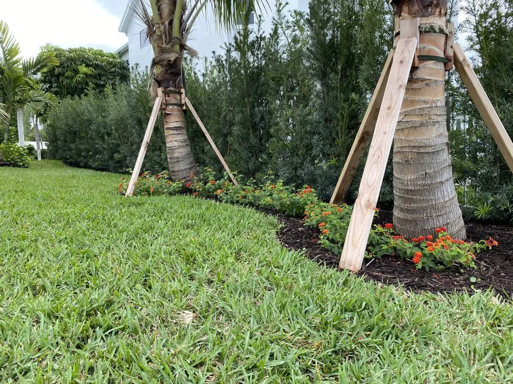 Trusted landscaping services in Sarasota, FL by Tropical Gardens Landscape