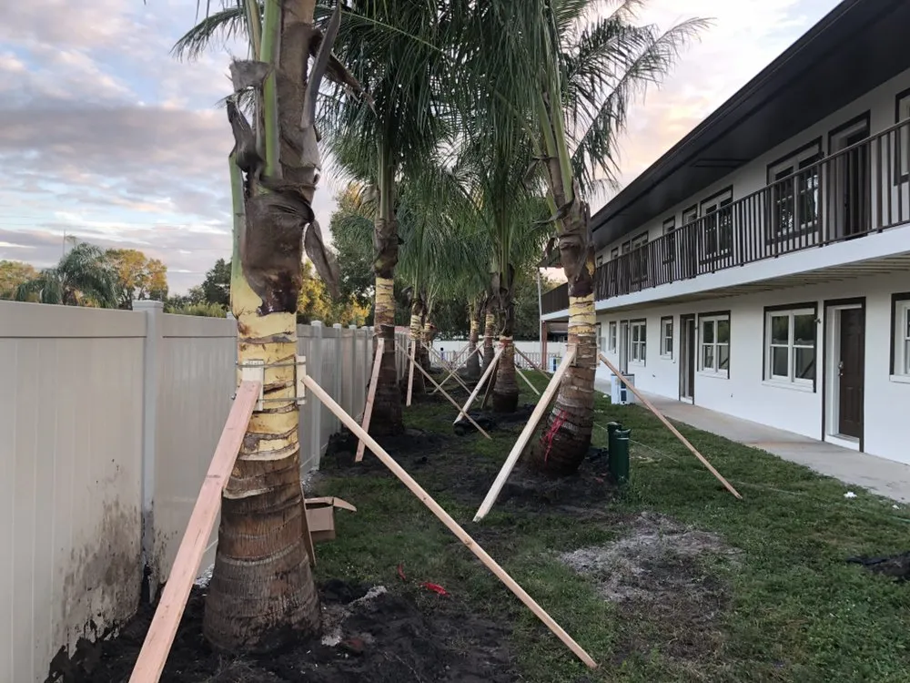 Custom landscaping services in Sarasota, FL by Tropical Gardens Landscape