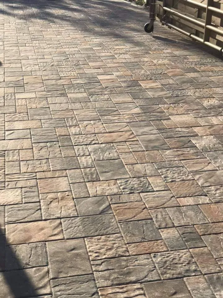 Expert landscaping services in Sarasota, FL - Tropical Gardens Landscape