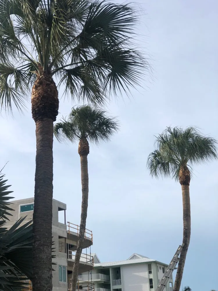 Top-rated residential landscaping in Sarasota, FL by Tropical Gardens Landscape