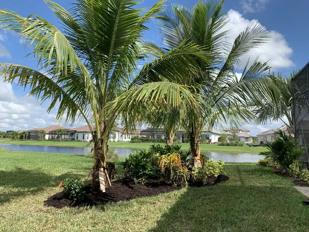 Professional landscape installation for beautiful yards across Sarasota, FL - Tropical Gardens Landscape