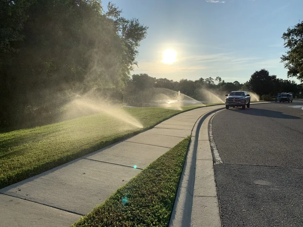 Local landscape design in Sarasota, FL by Tropical Gardens Landscape