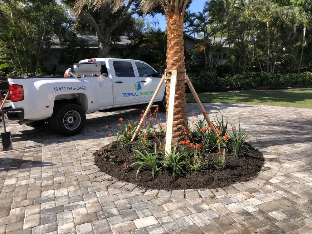 Expert lawn care service for residential properties across Sarasota, FL - Tropical Gardens Landscape