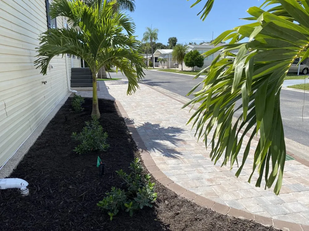 Affordable outdoor landscaping experts serving Sarasota, FL - Tropical Gardens Landscape