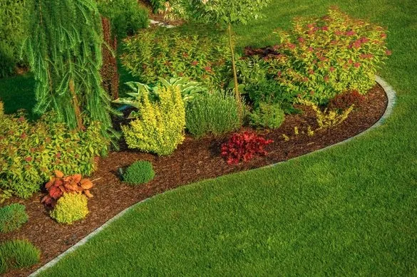Affordable landscaping services for residential properties across North Port, FL - Tropical Greenscape