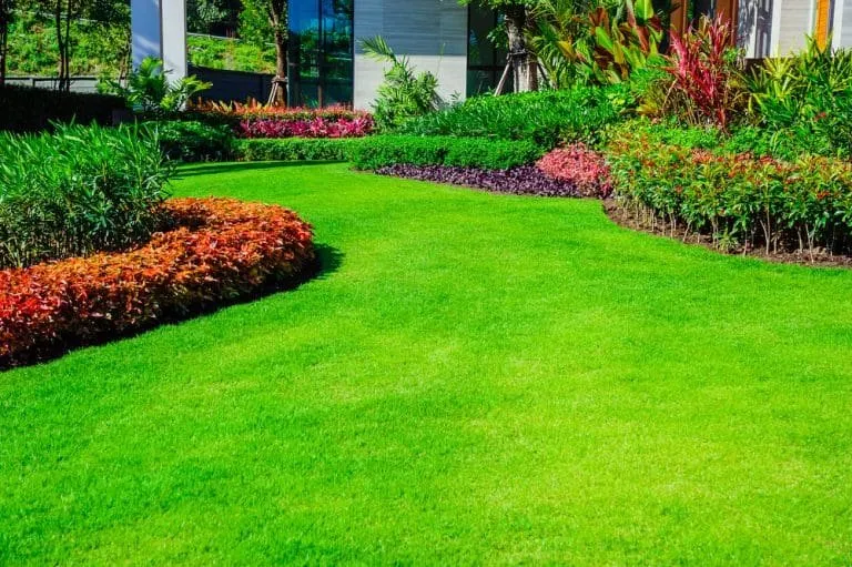 Professional garden landscaping in North Port, FL - Tropical Haven Property Solutions
