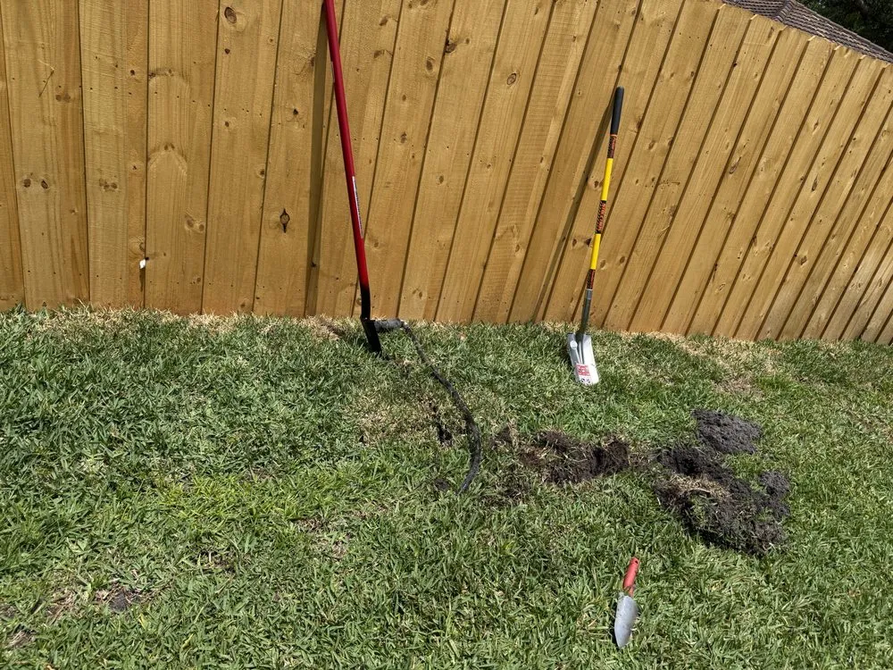 Expert yard maintenance in Orlando, FL by Tropical Image Landscaping & Irrigation