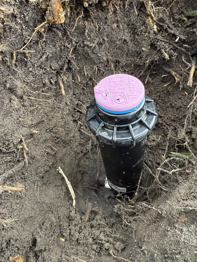 Local lawn mowing service for outdoor upgrades across Orlando, FL - Tropical Image Landscaping & Irrigation