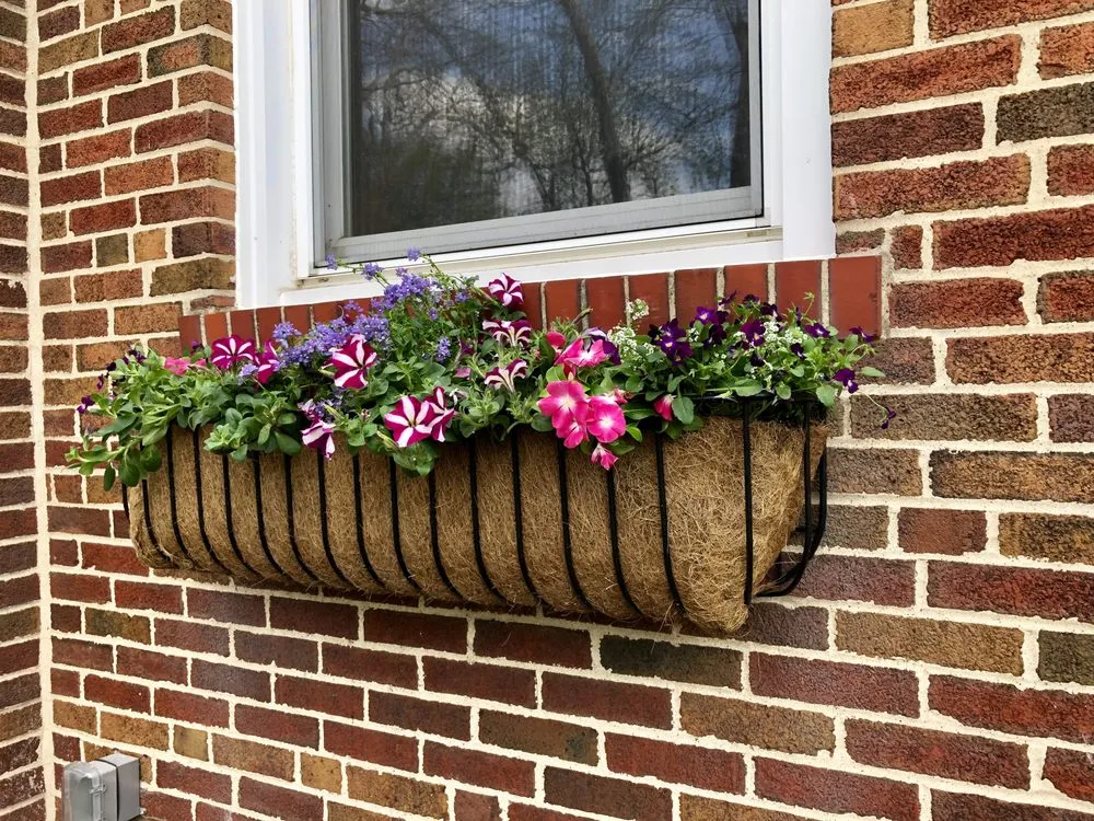 Top-rated landscape installation experts serving St. Louis, MO - Tropical Interiors