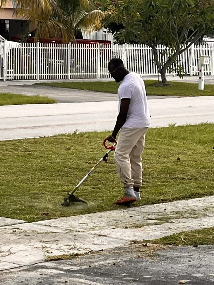 Local residential landscaping for homes across Miami, FL - Tropical Island Lawn & Trees