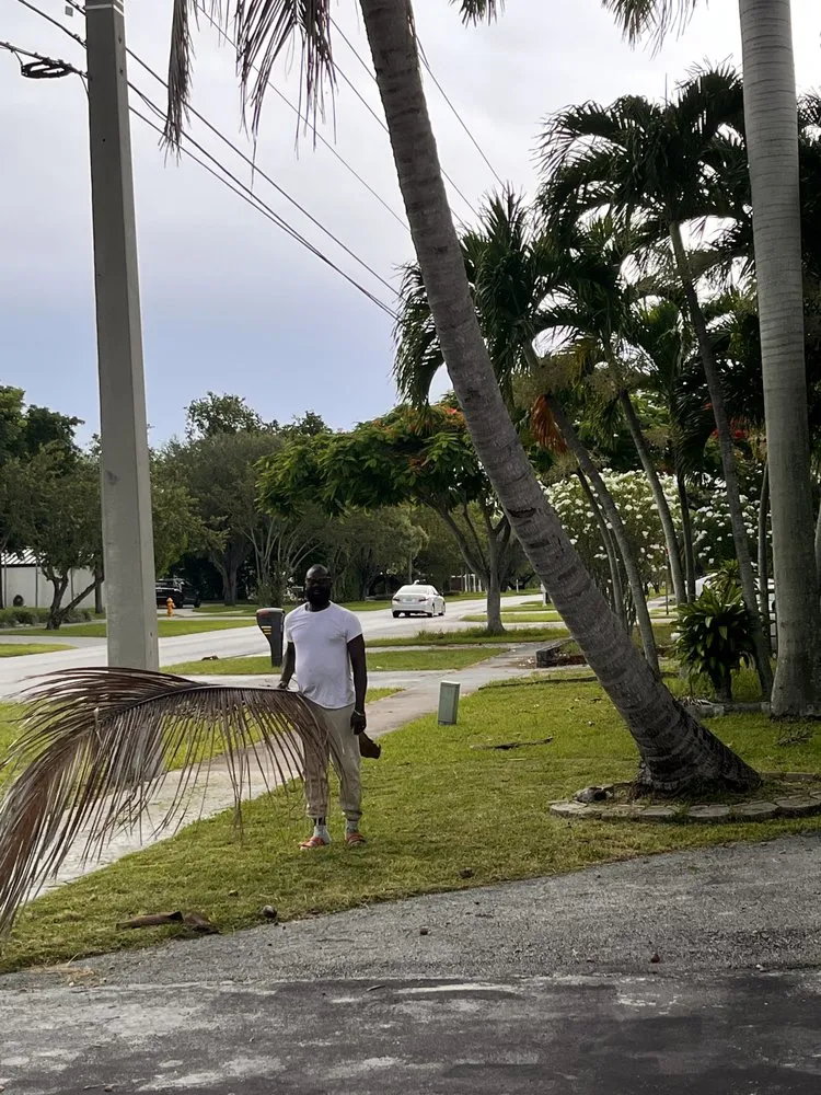 Trusted landscape design experts serving Miami, FL - Tropical Island Lawn & Trees