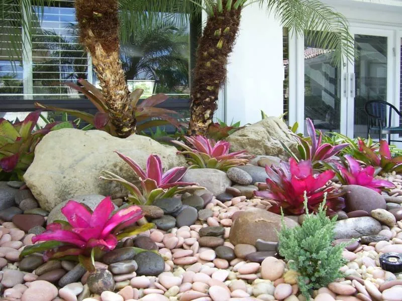 Custom landscape design experts serving Kissimmee, FL - Tropical Landscape - Lawn Care