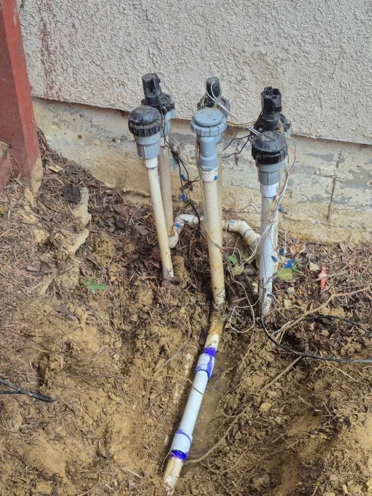 Expert garden landscaping in Concord, CA - Tropical Landscape