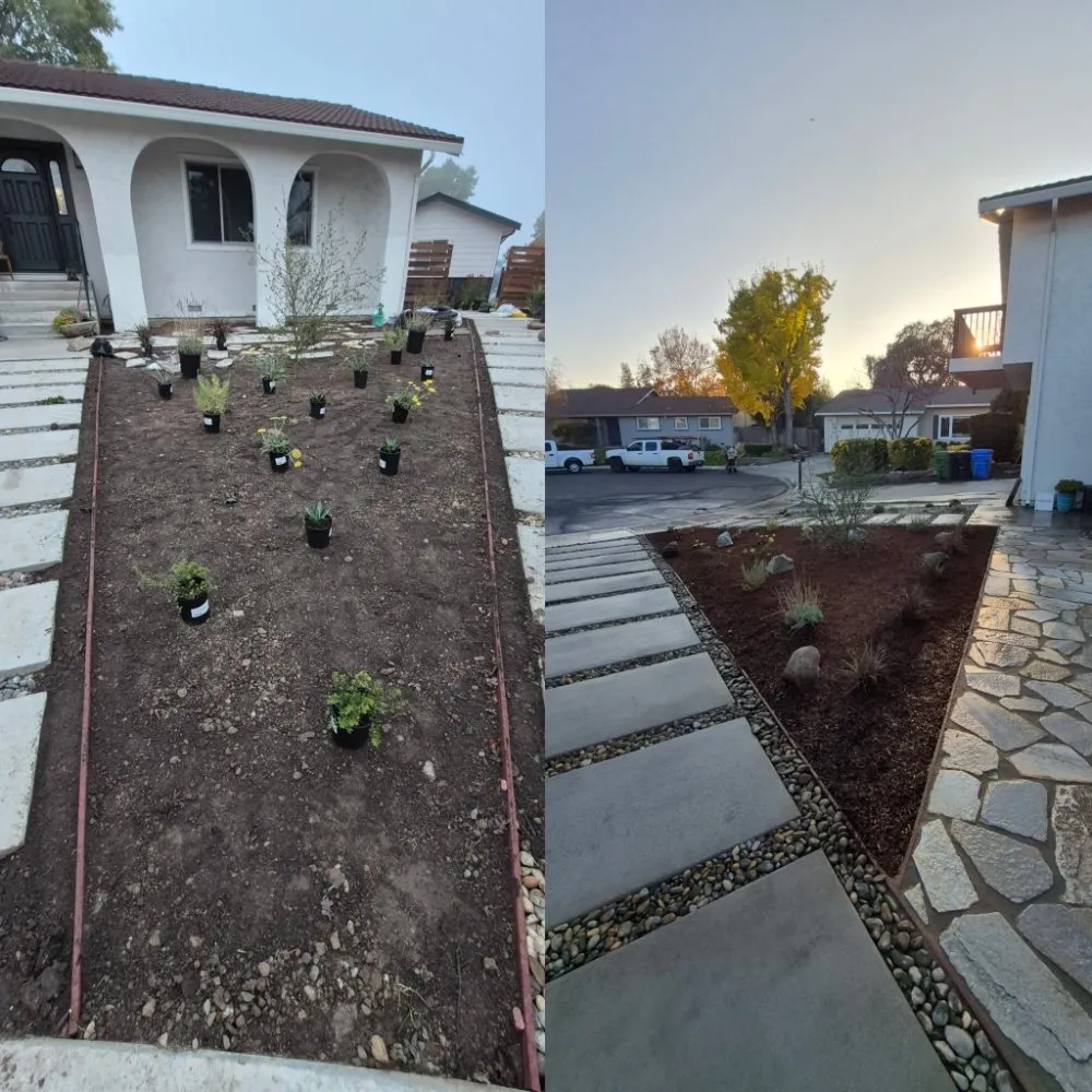 Custom yard maintenance in Concord, CA - Tropical Landscape