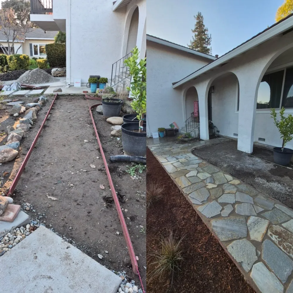 Top-rated outdoor landscaping in Concord, CA - Tropical Landscape