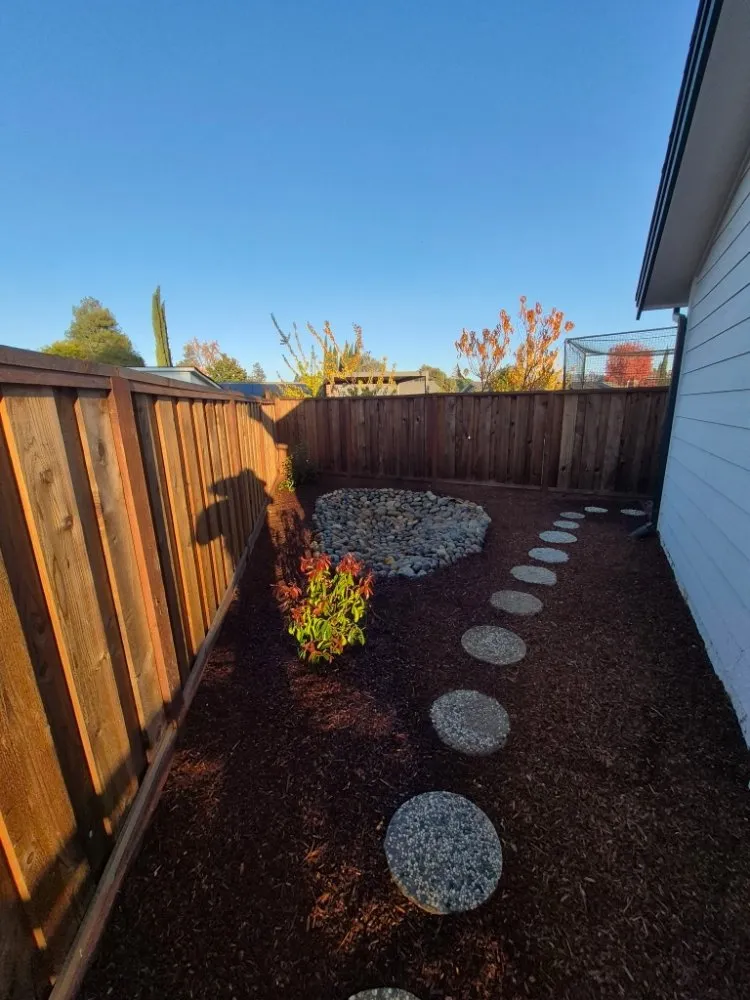 Affordable yard cleanup service in Concord, CA - Tropical Landscape