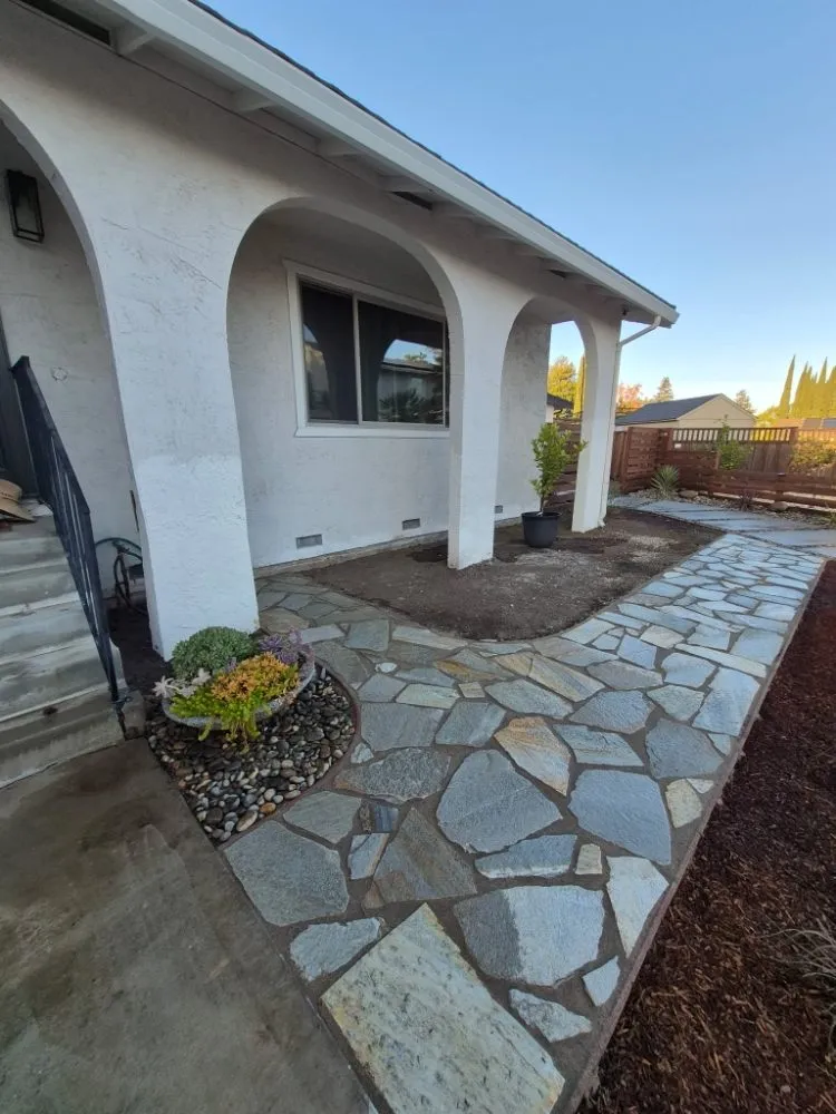 Reliable landscape installation in Concord, CA - Tropical Landscape