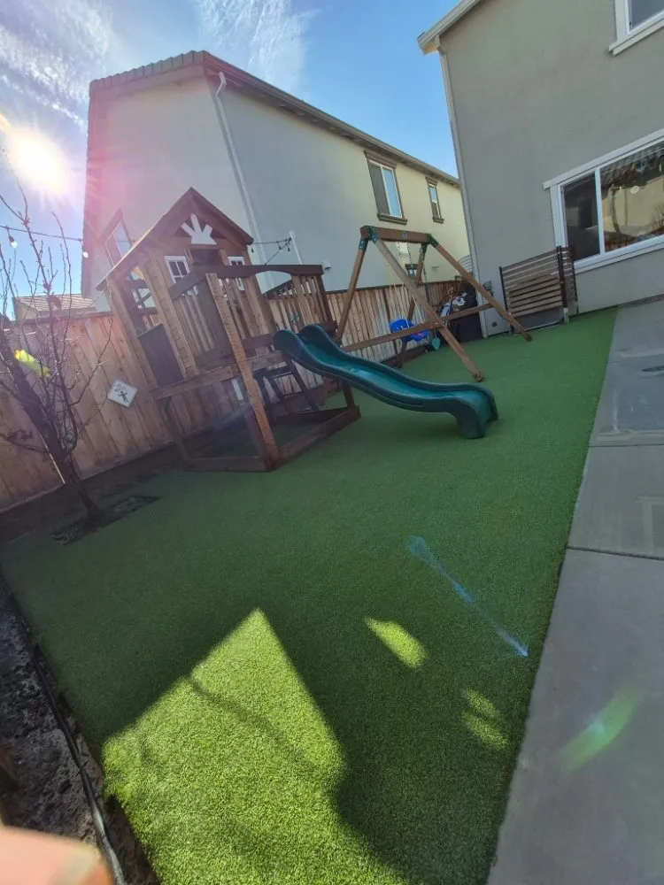 Custom landscaping services for year-round maintenance across Concord, CA - Tropical Landscape