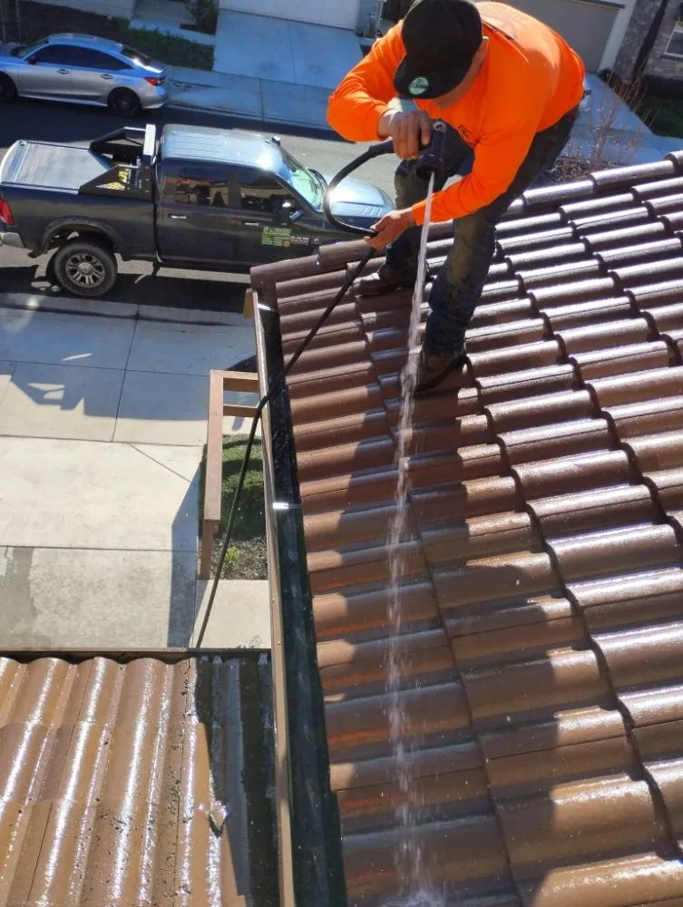 Local landscape installation for outdoor upgrades in Concord, CA by Tropical Landscape