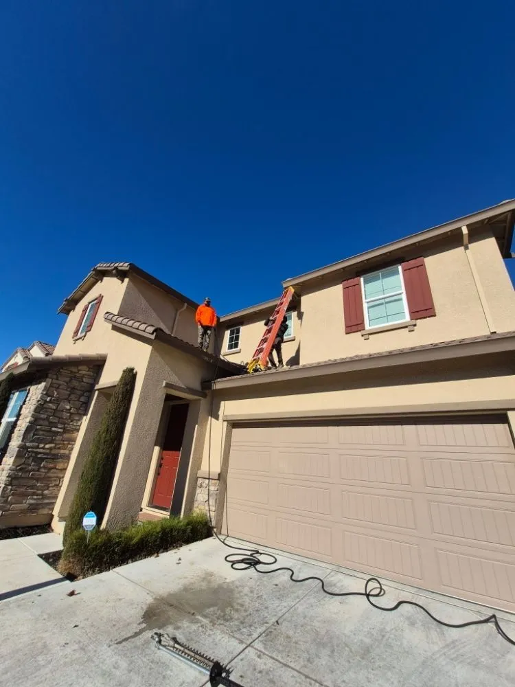 Expert residential landscaping experts serving Concord, CA - Tropical Landscape