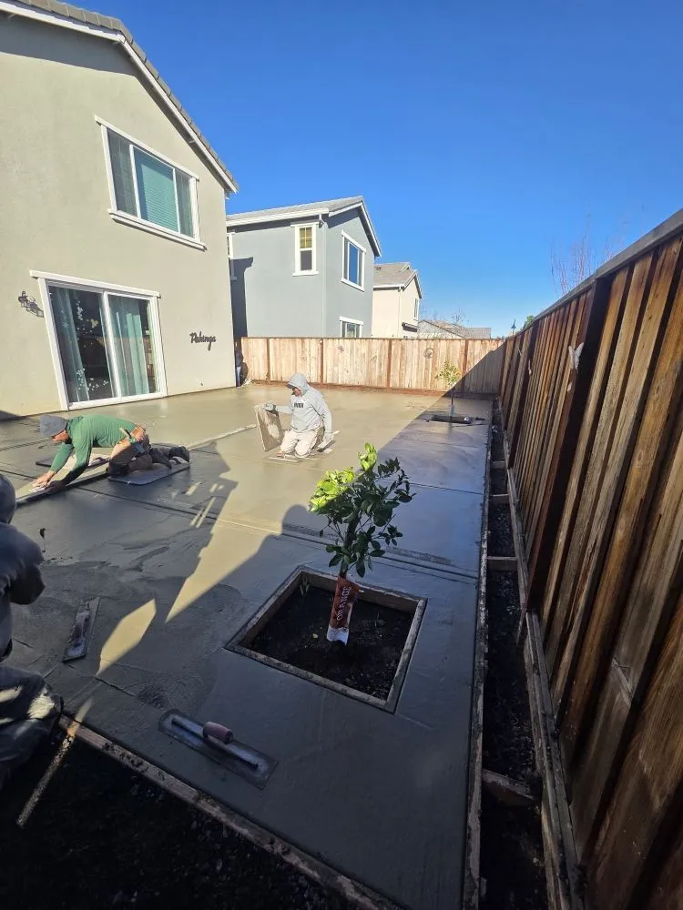 Professional residential landscaping for outdoor upgrades across Concord, CA - Tropical Landscape