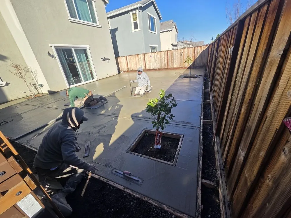 Expert lawn care service for outdoor upgrades across Concord, CA - Tropical Landscape