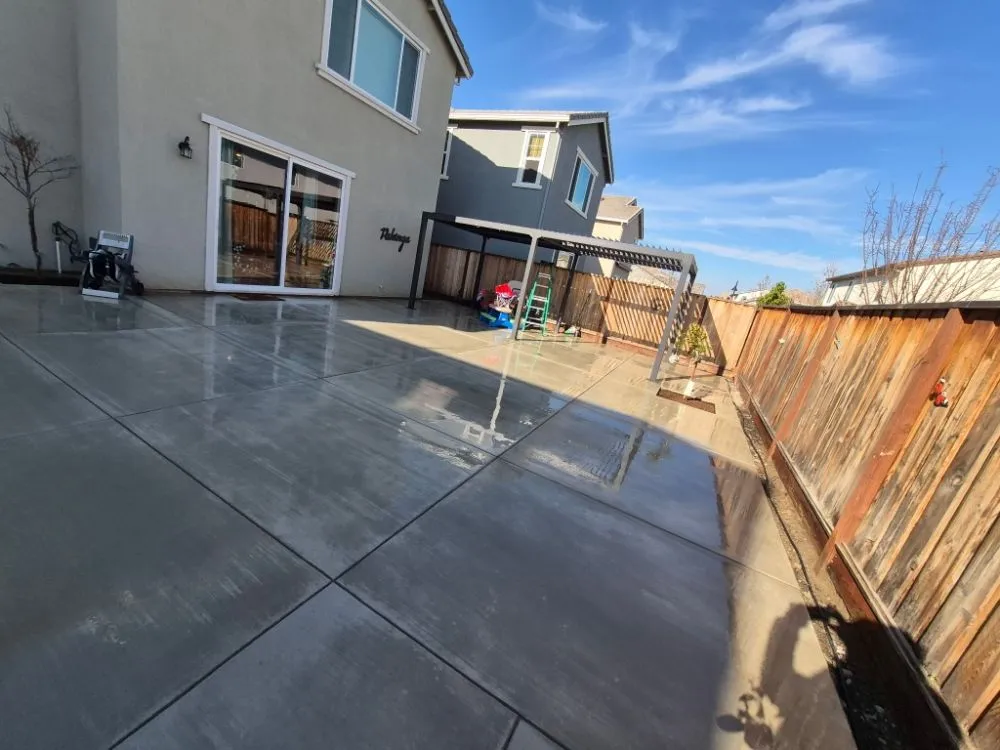 Custom outdoor landscaping in Concord, CA - Tropical Landscape