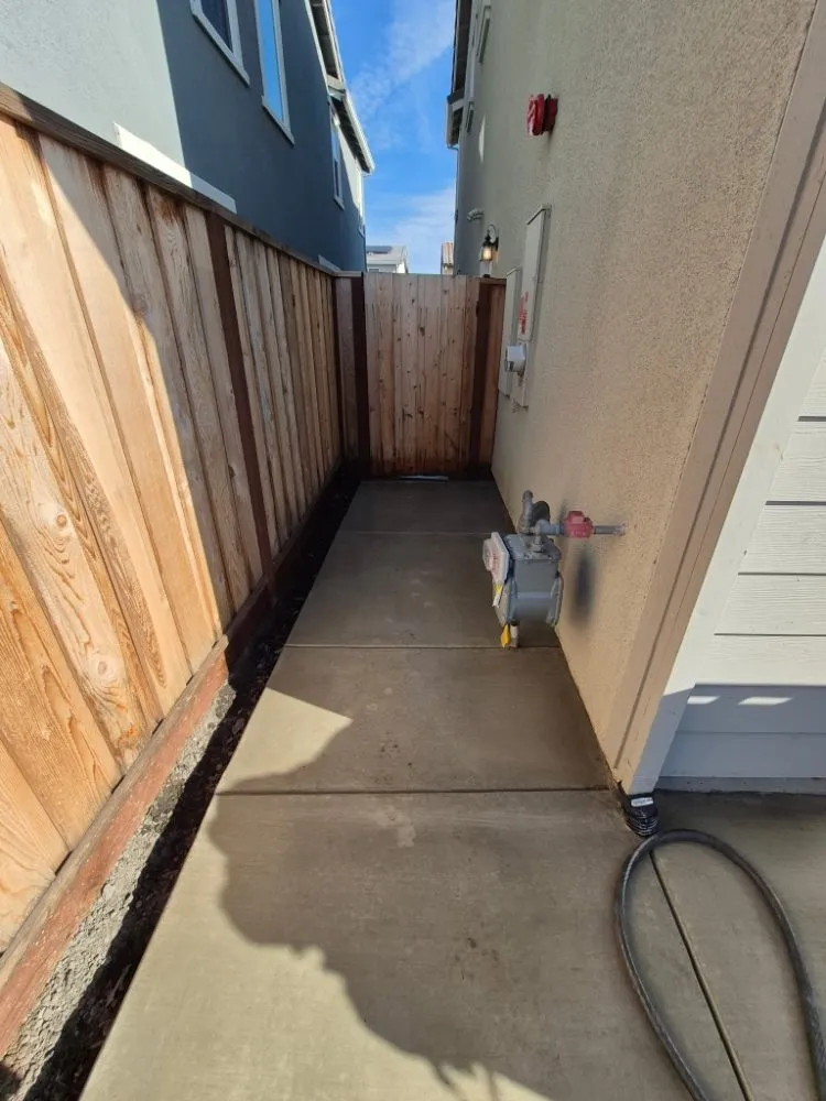 Trusted residential landscaping for year-round maintenance across Concord, CA - Tropical Landscape