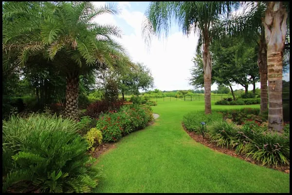 Affordable garden landscaping in Land O' Lakes, FL by Tropical Landscape Design
