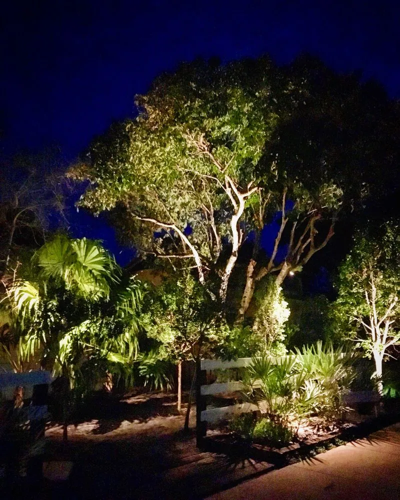 Reliable yard maintenance experts serving Lake Worth, FL - Tropical Landscape Lighting