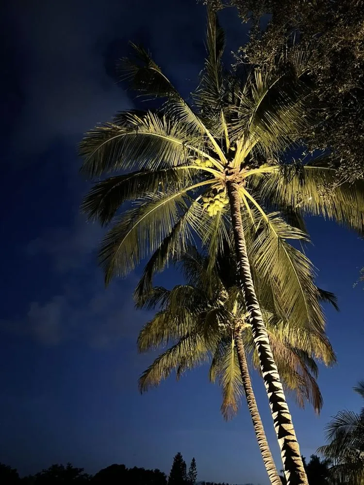 Local landscape design experts serving Lake Worth, FL - Tropical Landscape Lighting