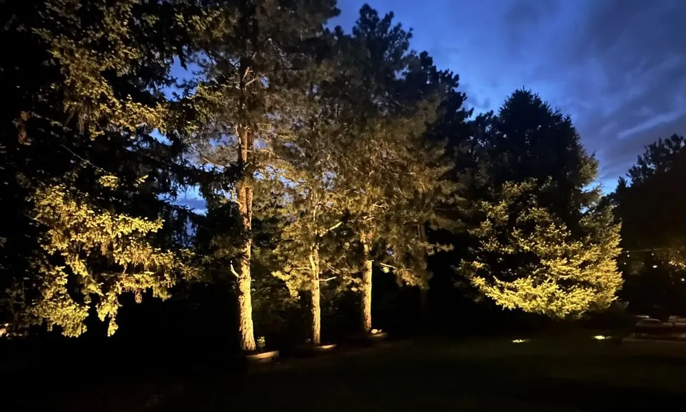 Affordable lawn care service in Lake Worth, FL by Tropical Landscape Lighting