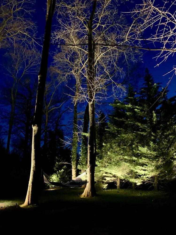 Professional yard cleanup service in Lake Worth, FL by Tropical Landscape Lighting