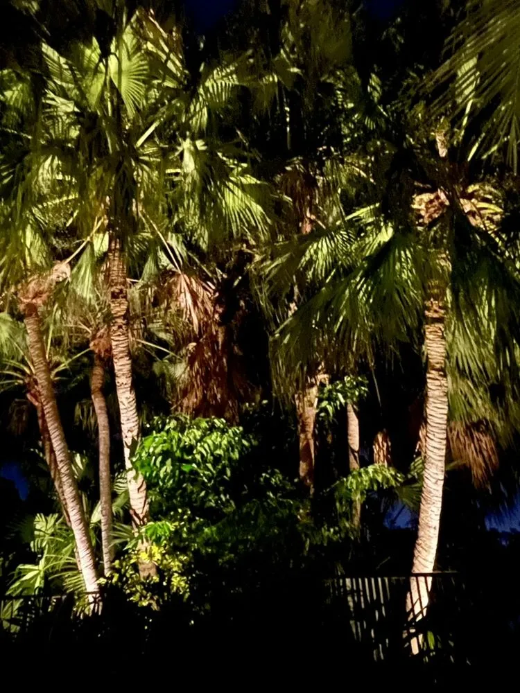 Expert yard cleanup service in Lake Worth, FL - Tropical Landscape Lighting