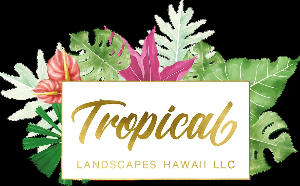 Professional garden landscaping experts serving Ewa Beach, HI - Tropical Landscapes Hawaii