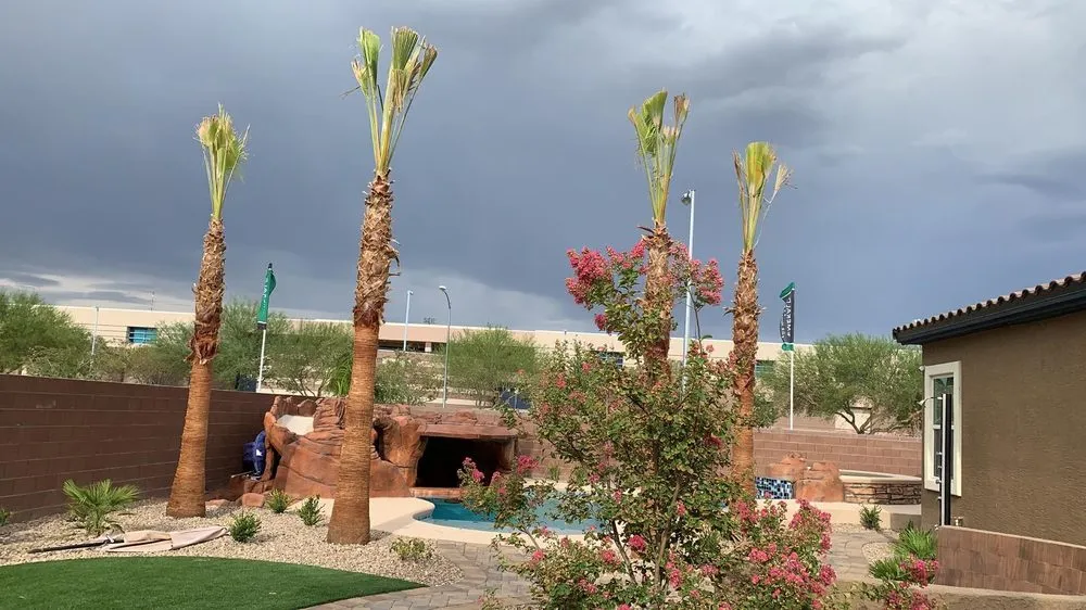 Top-rated lawn care service near you in Las Vegas, NV by Tropical Landscapes