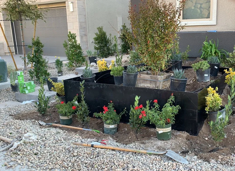 Professional lawn mowing service in Las Vegas, NV by Tropical Landscapes