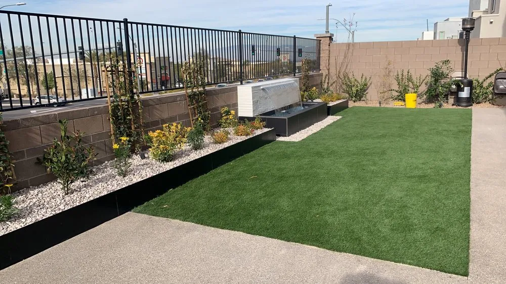 Professional yard cleanup service for year-round maintenance across Las Vegas, NV - Tropical Landscapes