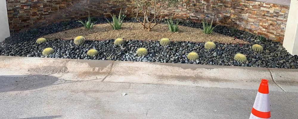 Expert yard maintenance in Las Vegas, NV - Tropical Landscapes